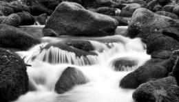 Begleitung bei Zustiftungen