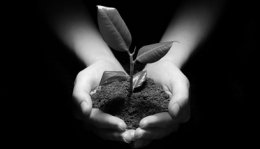 eigene Stiftung gründen