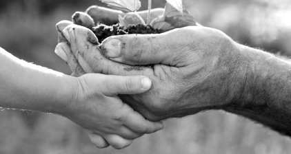 DIRAG begleitet in jeder Stiftungsphase