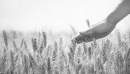 Welche Stiftungszwecke gibt es