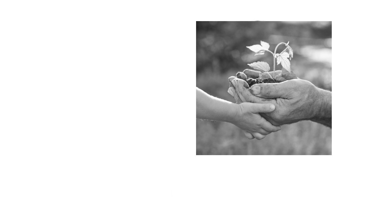 Höchste Stiftungskompetenz bei DIRAG