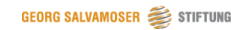 georg salvamoser stiftung